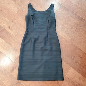 Anne Klein form fitted dress